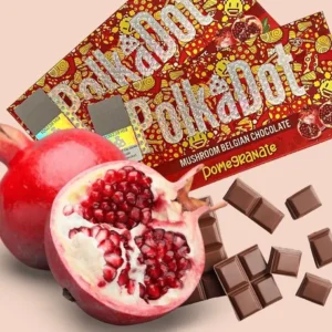 polkadot chocolate , polka dot chocolate , polkadot mushroom chocolate bar , polkadot chocolate bar , polka dot bars , polkadot mushroom bar , polka dot bar , polkadot bar , polkadot shroom bar, polkadot mushroom , polkadot mushroom chocolate , polk a dot , polkadot chocolate bars , polka dot shrooms , polka dot mushroom , polka dot mushroom bar , polka dot shroom bar , polka dot mushroom bars , polkadot bars , polka dot chocolate bar , polka dot mushrooms bars , polka dot mushrooms , original polkadot , polka dot shroom bars , polkadot chocolate official website , polk a dot bar , polka dot bars near me , polka dot company , polka dot chocolate nearby , polkadots chocolate , polka dot chocolates , polkadot magic bar , polkadot chocolate near me , polkadot near me , polkadot bars near me , polkadot mushroom chocolate bar nearby , the polka dot bar , polka dot chocolates where to buy , official polkadot